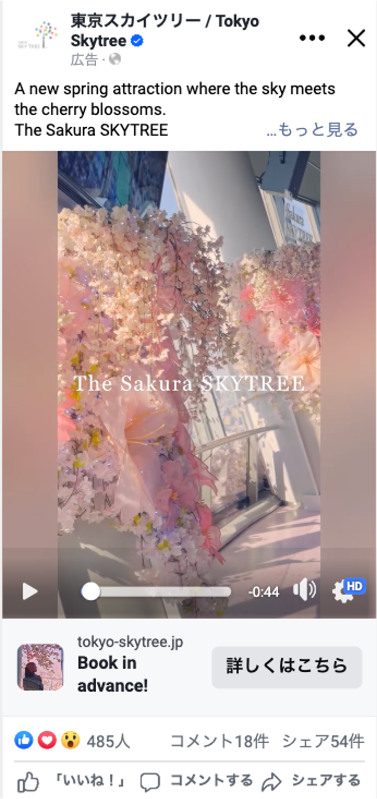 リール広告